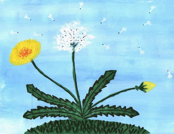 Одуванчик рисунок детский