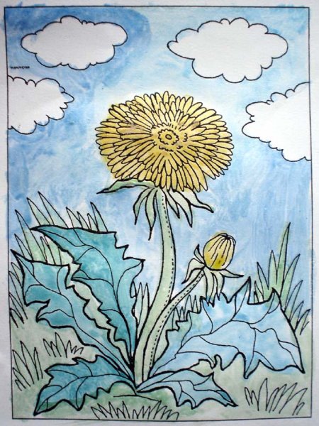 Поле с одуванчиками для срисовки