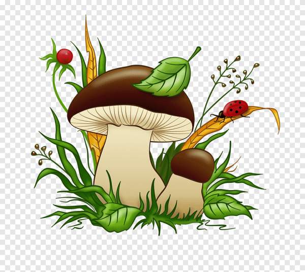 Грибочки для детей