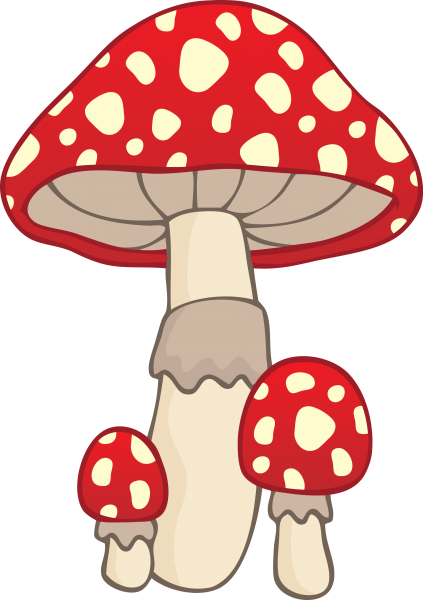 Мухомор для дошкольников