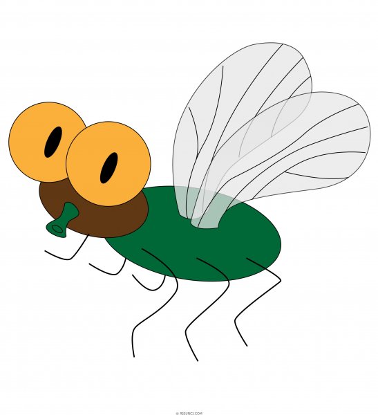 Муха для детей