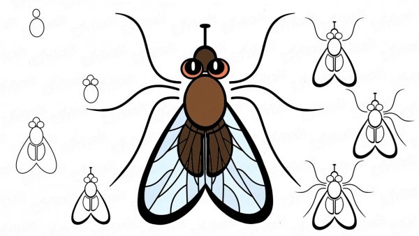 Муха рисунок для детей