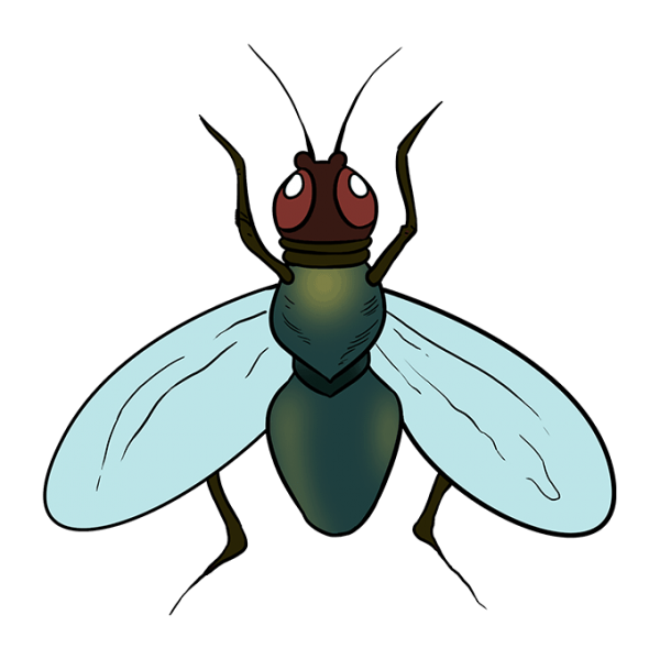 Муха нарисованная