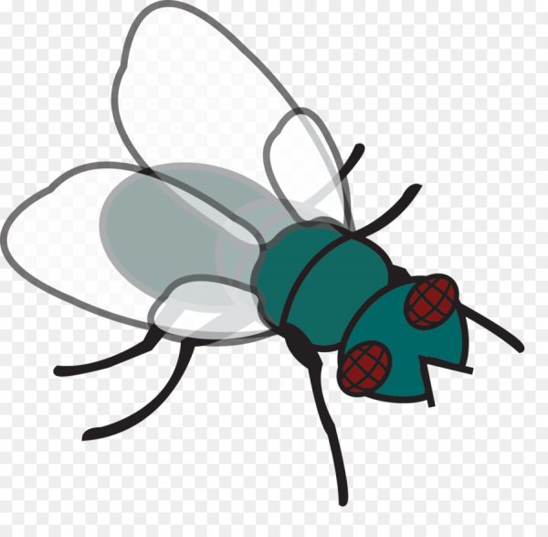 Муха мультяшная