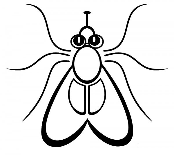 Муха раскраска