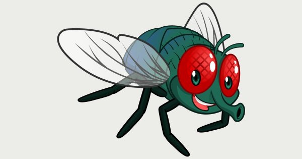 Муха мультяшная