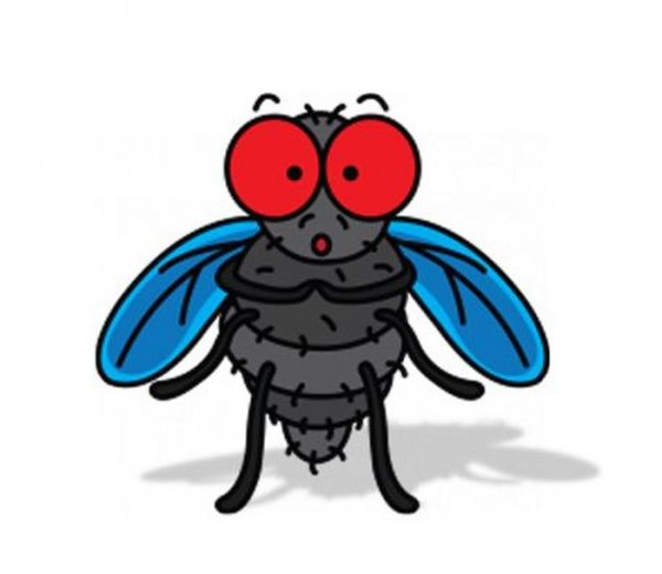 Муха для детей