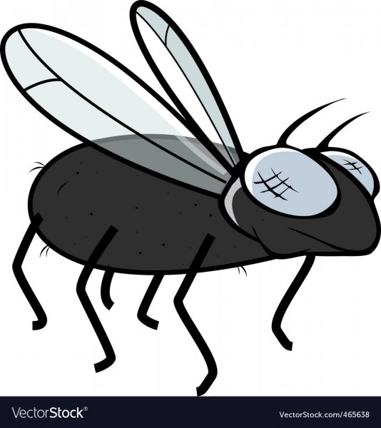 Муха рисунок