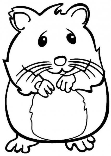 Раскраски для девочек хомяки