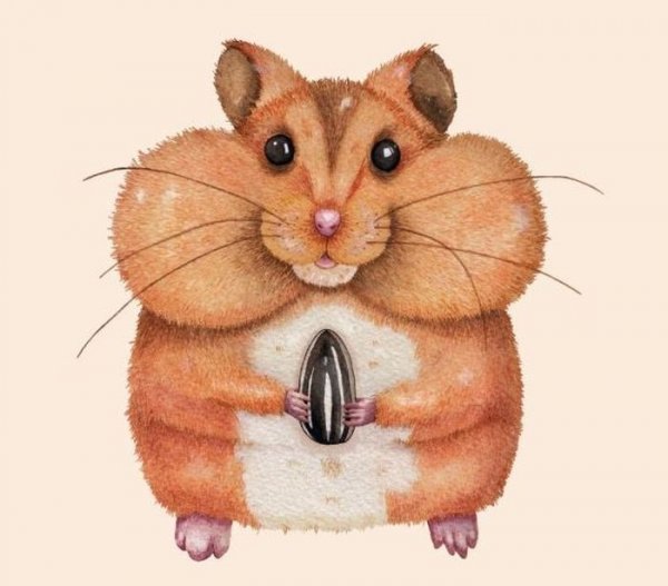 Хомяк рисунок