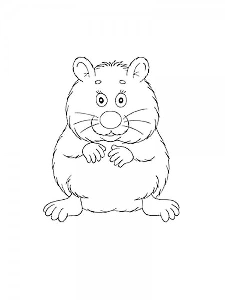 Хомячок раскраска для детей
