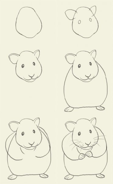 Хомяк рисунок карандашом
