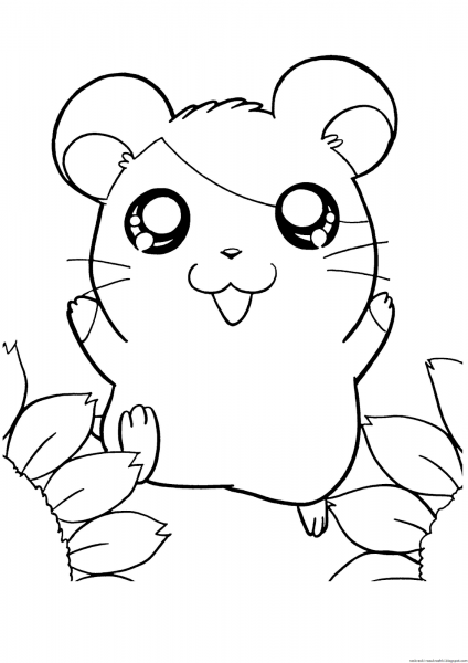 Хомяк раскраска для детей