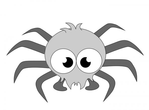 Паук рисунок