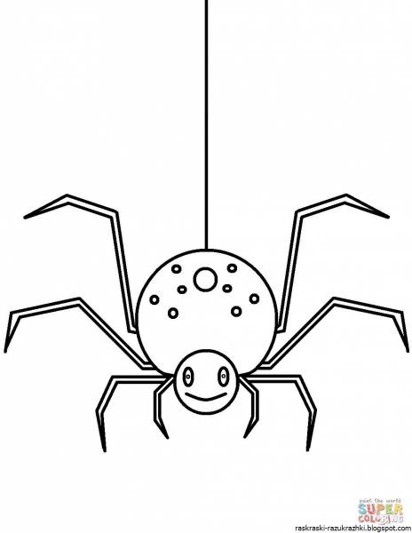 Паук рисунок раскраска