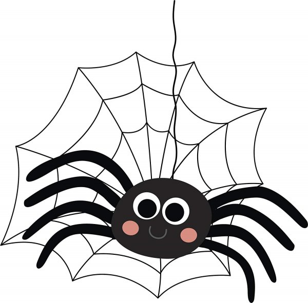 Паук для детей