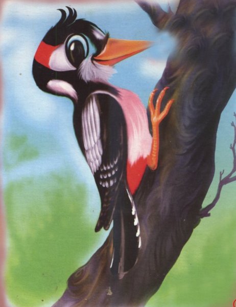 Дятел рисунок