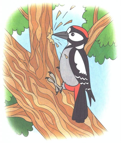 Дятел для детей