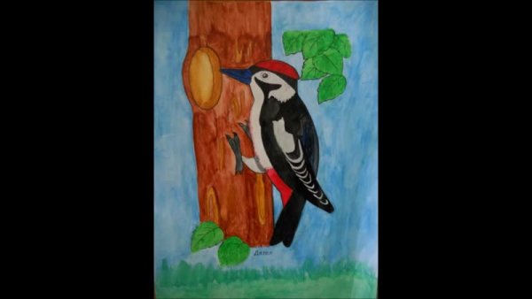 Зеленый дятел рисунок