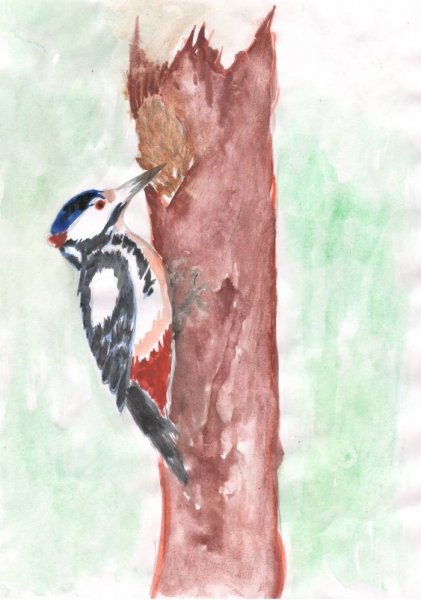 Дятел мультяшная