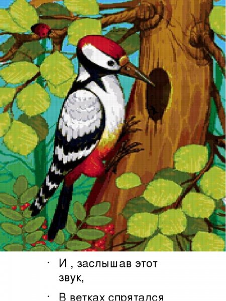 Изображение дятла для детей