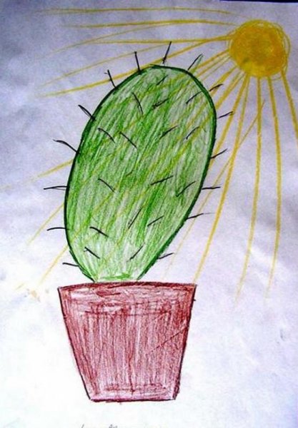 Рисование на тему комнатные растения