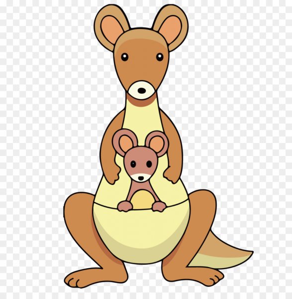 Нарисовать кенгуру