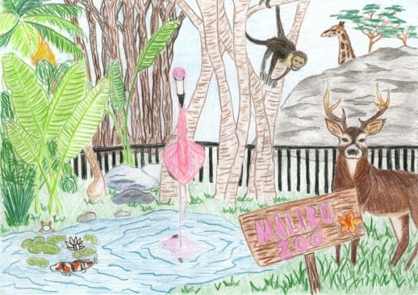 Рисование на тему в зоопарке