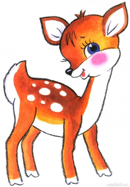 Иллюстрации животных для детей