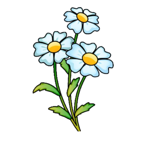 Ромашка рисунок