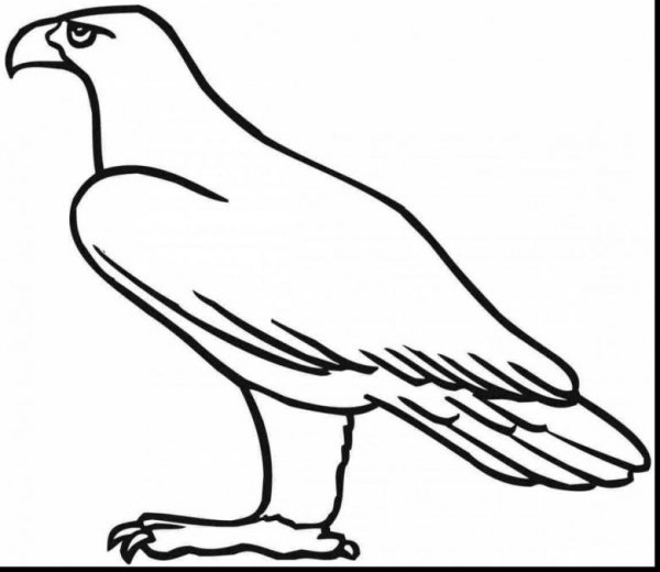 Орео раскраска для детей