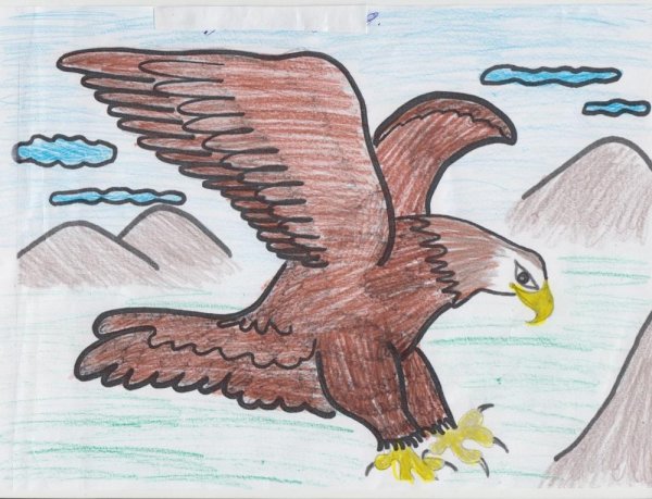 Мультик про орла Беркута