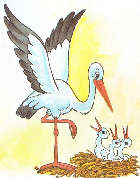 Аист рисунок