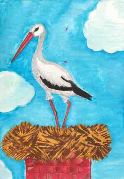 Птица Аист рисунок