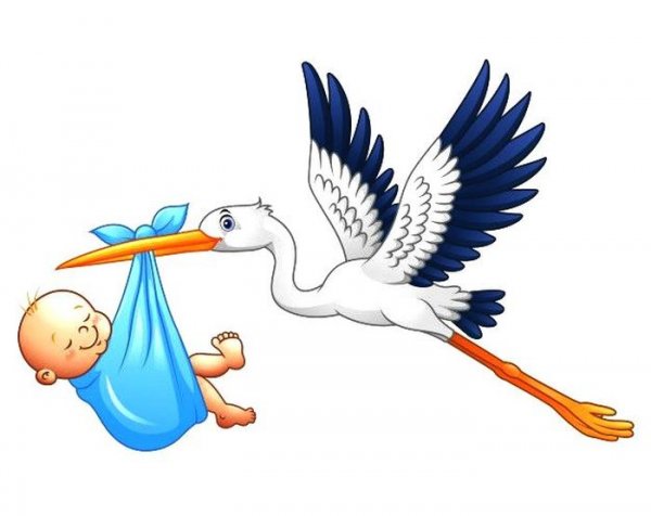 Аист несёт младенца