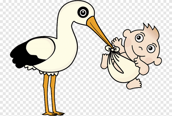 Аист с малышом фото