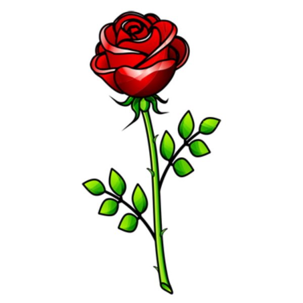 Нарисовать розу