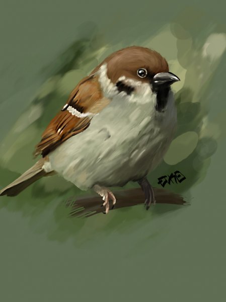 Воробей арт