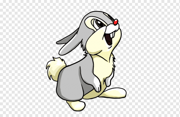 Заяц раскраска