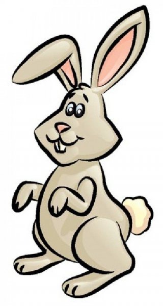 Раскраска кролик