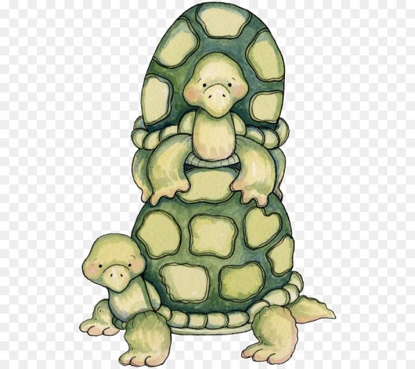Черепашка рисунок