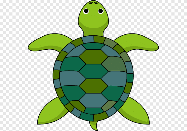 Черепаха рисунок
