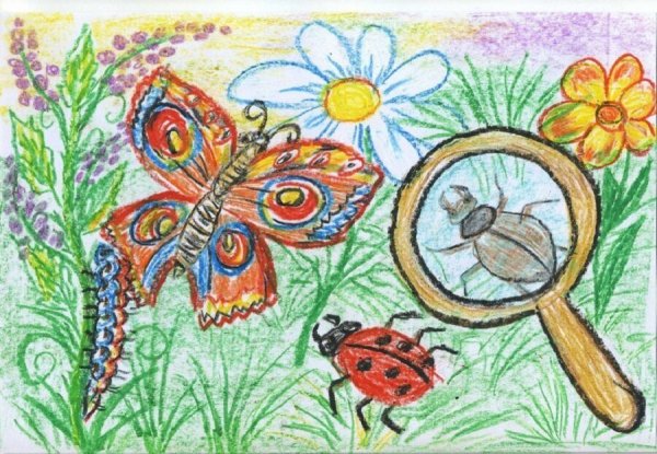 Детские рисунки насекомых