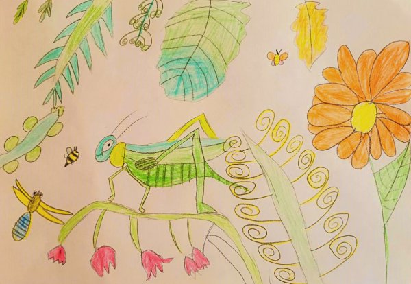Рисование на тему насекомые