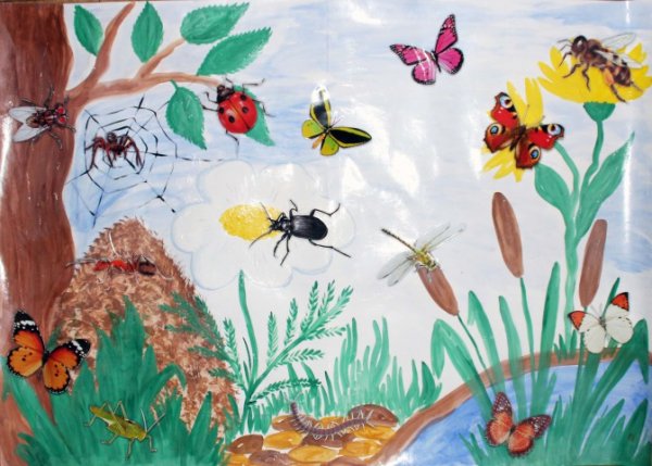 Рисование насекомые подготовительная группа