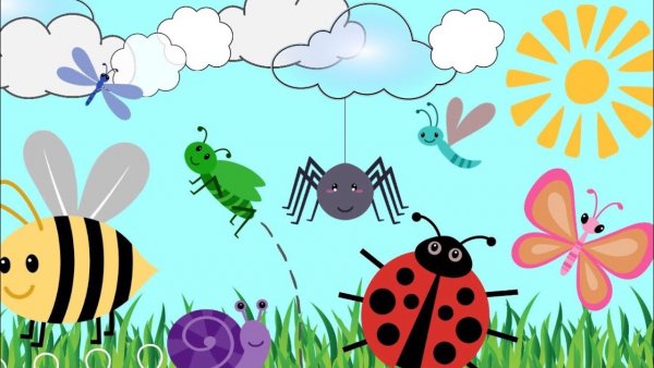 Букашки для детей