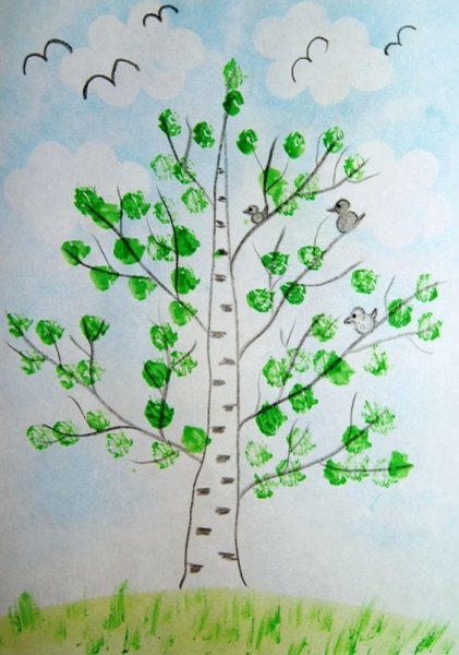 Рисование Березки в старшей группе
