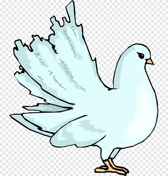 Дети голубей