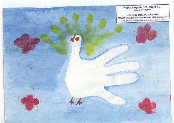 Рисование голубь мира старшая группа