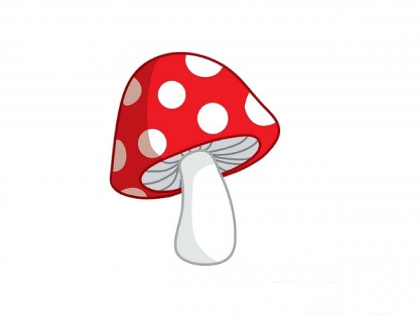 Мухомор для детей